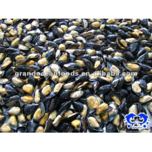 seafood frozen boiled mussel meat with halfshell